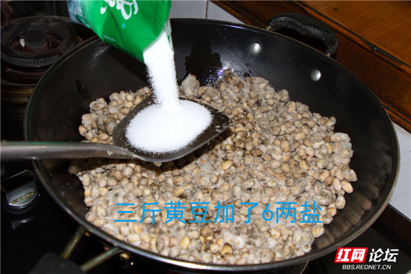 5_副本1.jpg