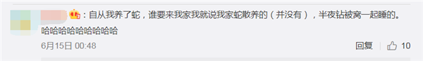 评论4_副本.png