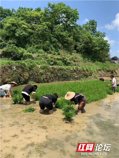 1 (3)_副本_副本.jpg