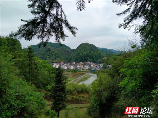 1 (2)_副本_副本.jpg