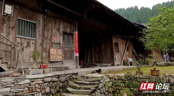 210040zlpizv5jhirp3vuj.jpg 210040zlpizv5jhirp3vuj.jpg