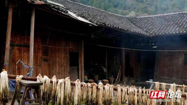 210040rx4l1ooehnzzhhlo.jpg 210040rx4l1ooehnzzhhlo.jpg