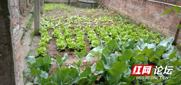 065635yj8m1juiqiz768v6.jpg 065635yj8m1juiqiz768v6.jpg