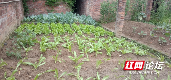 065723t477nfm449jytmto.jpg 065723t477nfm449jytmto.jpg