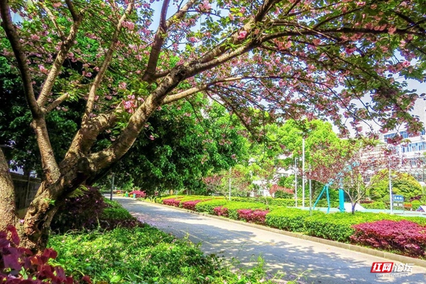 231307u6mz060gwvlg8wwl.jpg 231307u6mz060gwvlg8wwl.jpg