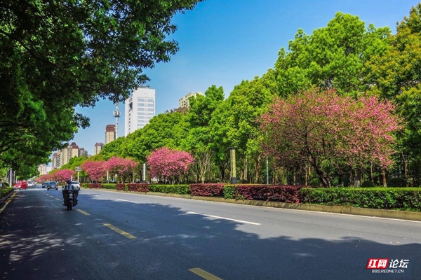 231343lnfbbhcvhw9cxsmx.jpg 231343lnfbbhcvhw9cxsmx.jpg