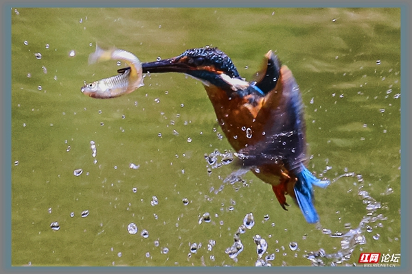 001015xrs8apx77ljwppu7.jpg 001015xrs8apx77ljwppu7.jpg