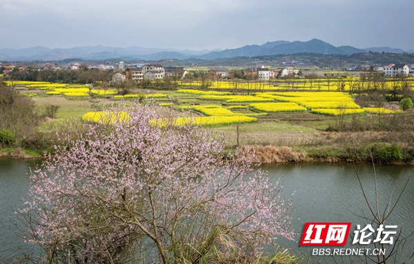 111211kchkky8p5dl0ev9n.jpg 111211kchkky8p5dl0ev9n.jpg