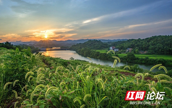 111210ott48qq9l34p3x3l.jpg 111210ott48qq9l34p3x3l.jpg