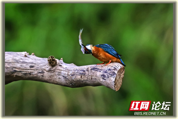 002913qgdv9kvdmmr9cfgu.jpg 002913qgdv9kvdmmr9cfgu.jpg