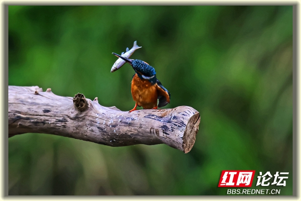 002913ct6ii2a5t9i82lat.jpg 002913ct6ii2a5t9i82lat.jpg