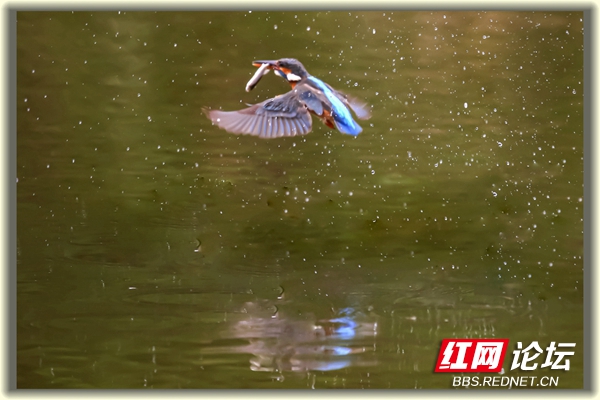 002916pn93296eeiyysev0.jpg 002916pn93296eeiyysev0.jpg