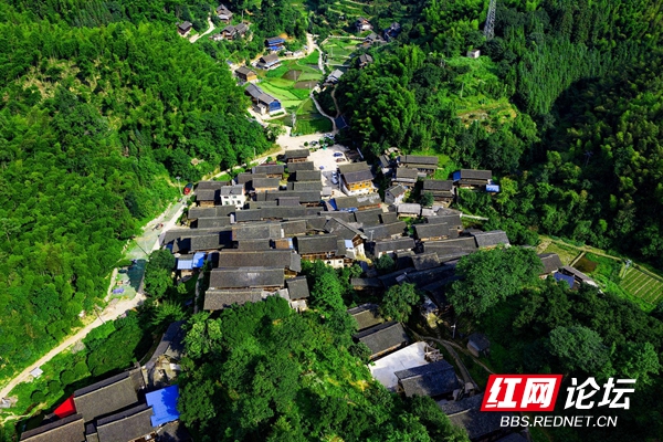 171535lsp0tggqqdk0mmdd.jpg 171535lsp0tggqqdk0mmdd.jpg