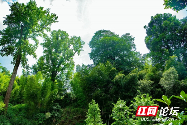 164611s0ru0arjn70d10u8.jpg 164611s0ru0arjn70d10u8.jpg