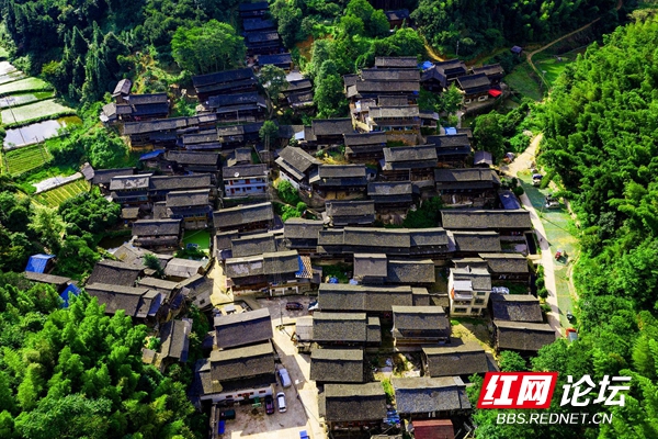 164105a0w0450wv88wa0u0.jpg 164105a0w0450wv88wa0u0.jpg