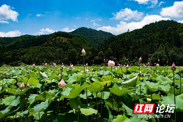 165544oay7hhhf9mugyjwv.jpg 165544oay7hhhf9mugyjwv.jpg