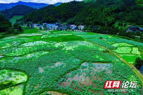 165753mo3b2t47jdqcnoqv.jpg 165753mo3b2t47jdqcnoqv.jpg