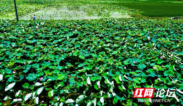 165753rbclxcsalvdazjvh.jpg 165753rbclxcsalvdazjvh.jpg