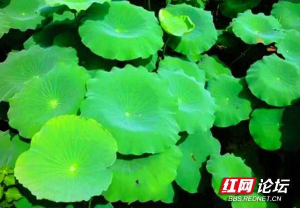 211617o3zhmhfdq2h7nd03.jpg 211617o3zhmhfdq2h7nd03.jpg