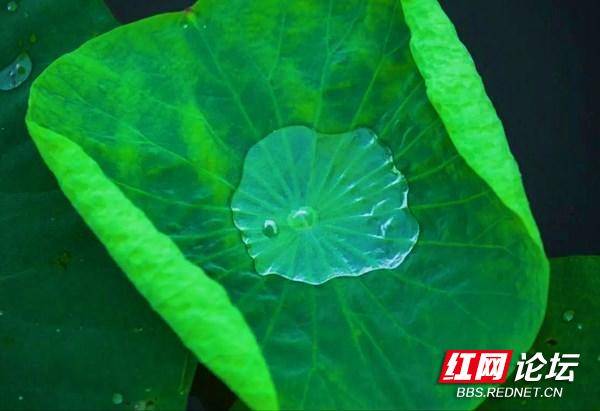 212108pq7oizngavgrkkag.jpg 212108pq7oizngavgrkkag.jpg