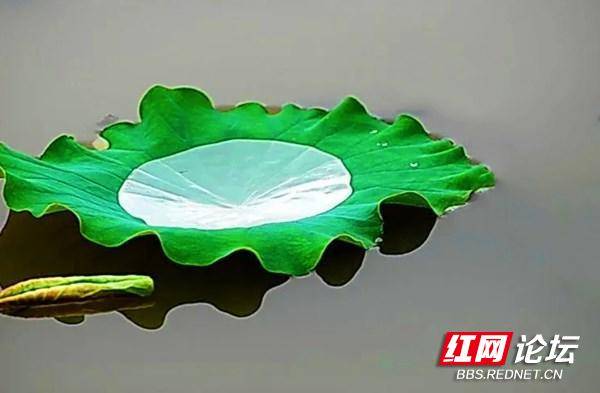 211722bge74g4p9pom77d7.jpg 211722bge74g4p9pom77d7.jpg