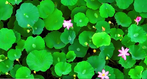 211654hoelvoerr6ia6aqx.jpg 211654hoelvoerr6ia6aqx.jpg