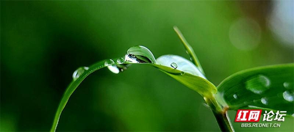 202855fw2ziaaneetotjvb.jpg 202855fw2ziaaneetotjvb.jpg