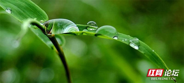 202833wqmdpfaq5bpmpqqt.jpg 202833wqmdpfaq5bpmpqqt.jpg