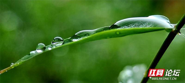 202910apjj64vpf464zp4f.jpg 202910apjj64vpf464zp4f.jpg