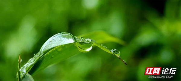 202934yfgy10n1fpvnppnp.jpg 202934yfgy10n1fpvnppnp.jpg