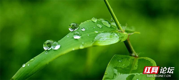 202923jqxc96bli8bfz97b.jpg 202923jqxc96bli8bfz97b.jpg