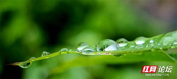 202943ohg7z2go4zzshxxn.jpg 202943ohg7z2go4zzshxxn.jpg