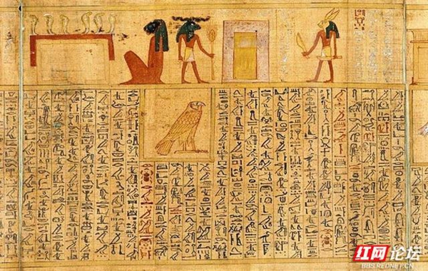 wm (13).jpg