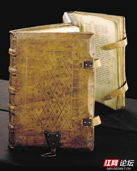 wm (14).jpg