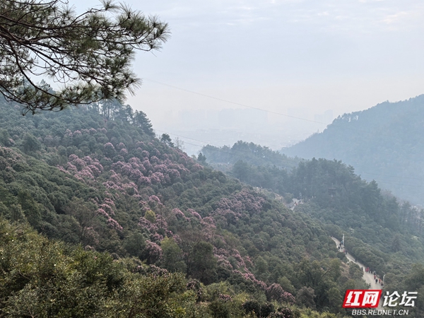 wm (1).jpg wm (1).jpg