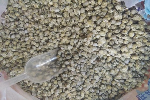 092351af5t55pxazfc5frt.jpg 092351af5t55pxazfc5frt.jpg