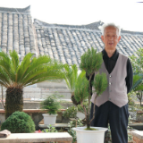 最美阳台丨春去秋来，花开花落，阳台记录着四代同堂的故事