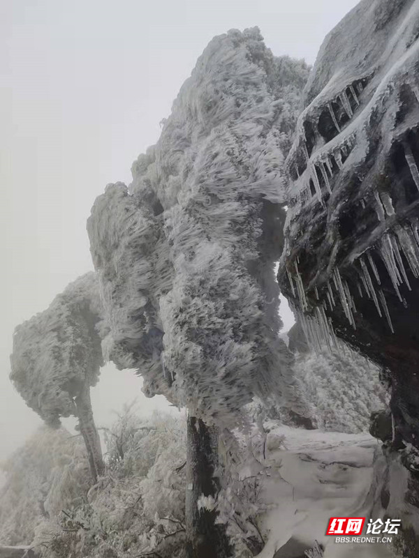 微信图片_20220127140740.jpg 微信图片_20220127140740.jpg