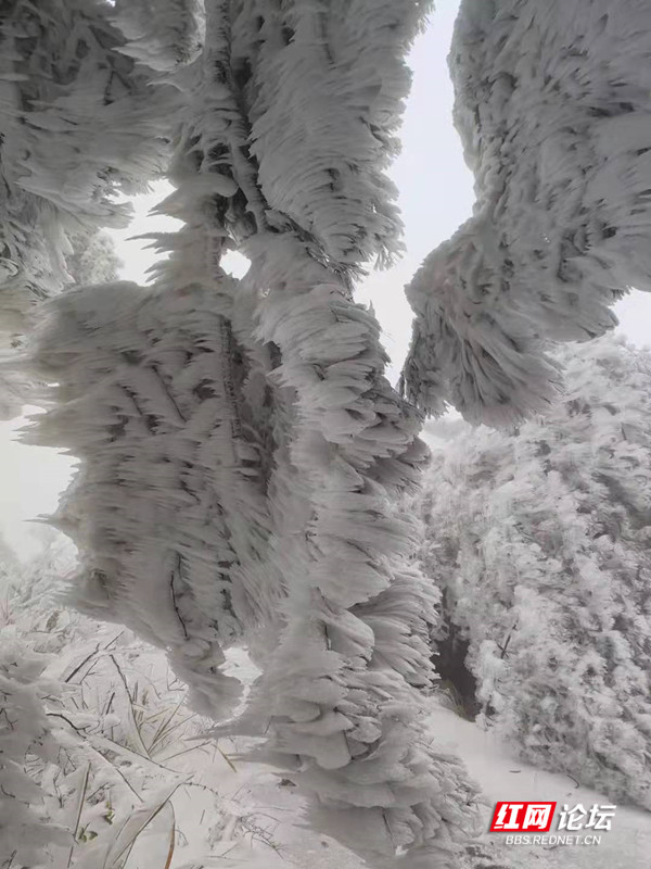 微信图片_20220127140919.jpg 微信图片_20220127140919.jpg