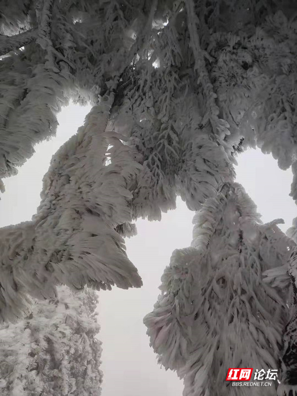 微信图片_20220127140707.jpg 微信图片_20220127140707.jpg