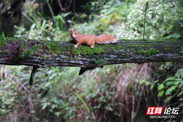 201644jge2g2m7dm49kehx.jpg 201644jge2g2m7dm49kehx.jpg