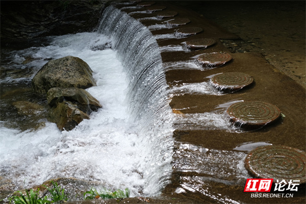 201646njx299io2cxitl0j.jpg 201646njx299io2cxitl0j.jpg