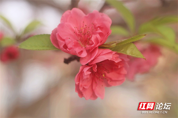 125346gecx6160bi1jfxij.jpg 125346gecx6160bi1jfxij.jpg