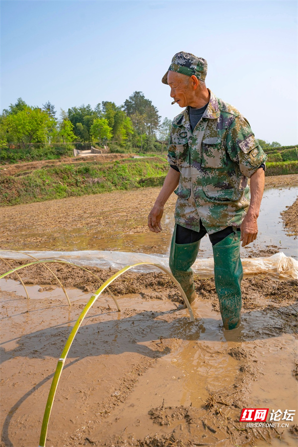 春耕、播种、农民 (2).jpg 春耕、播种、农民 (2).jpg