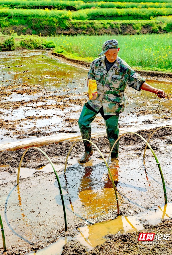 春耕、播种、农民 (4).jpg