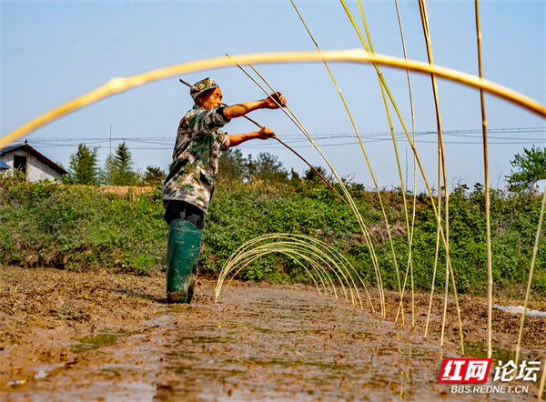 春耕、播种、农民 (1).jpg 春耕、播种、农民 (1).jpg