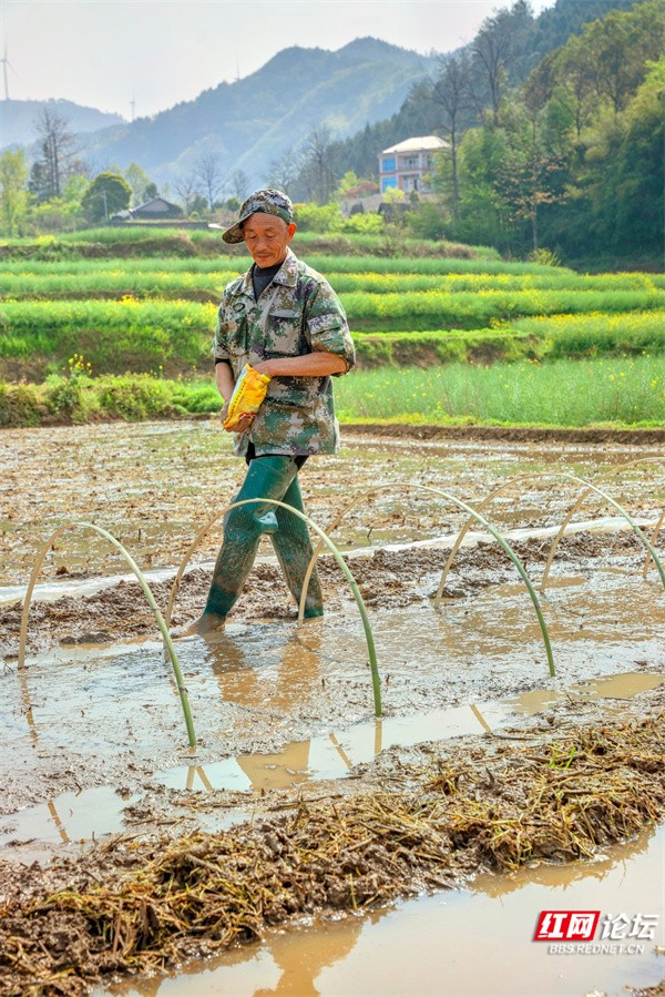 春耕、播种、农民 (11).jpg