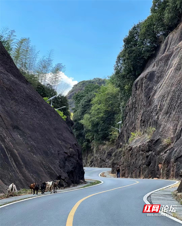 105754t9ms8m28ob8j5it8.jpg 105754t9ms8m28ob8j5it8.jpg