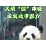  “旅发大会”视评④丨文旅“深”体验，焕发城市魅力