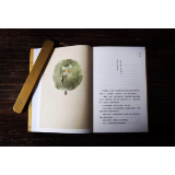开放的“故乡”——黄耀红作品中的美文传统与媒介转向
